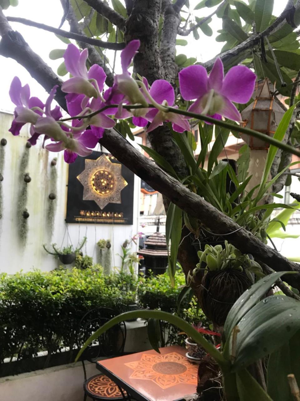 Hotel Wannamas Chiangmai Boutique House Chiang Mai Exterior foto